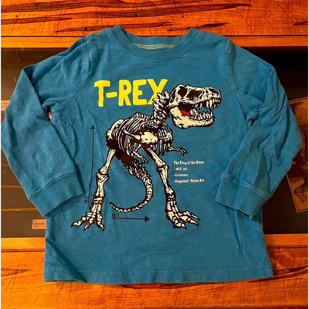 Carters Long Sleeve T-Rex Boys Shirt.